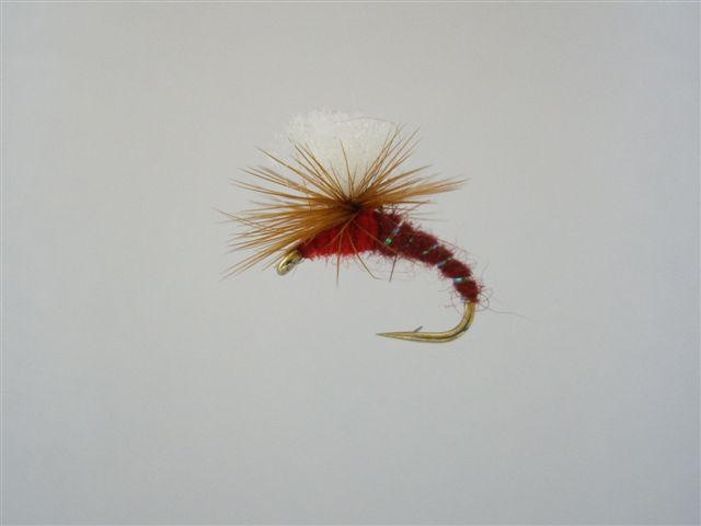 Size 16 Terry,s Emerger Claret